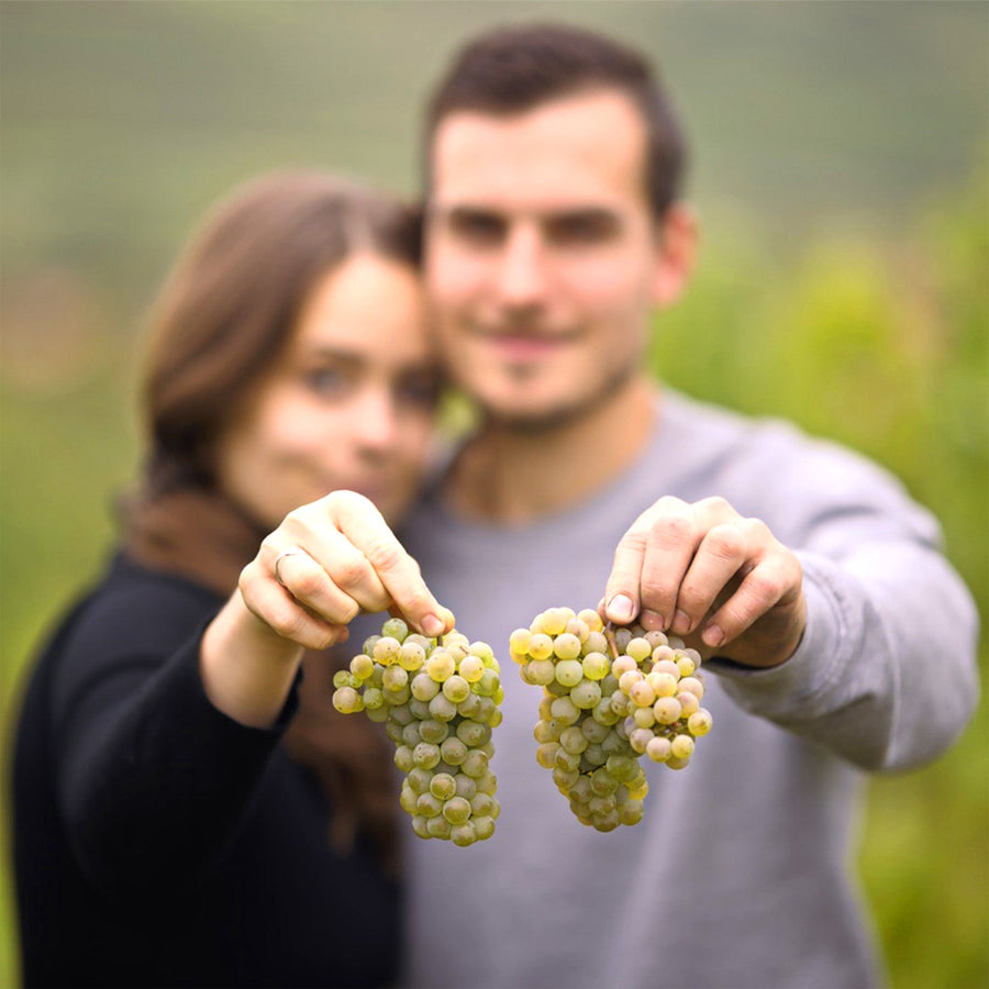 WEINPROBE Blindverkostung - VINORI Weinhandlung und Vinothek