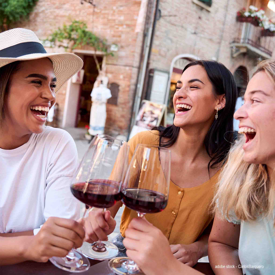 WEINPROBE Rotweinreise durch Europa - VINORI Weinhandlung und Vinothek