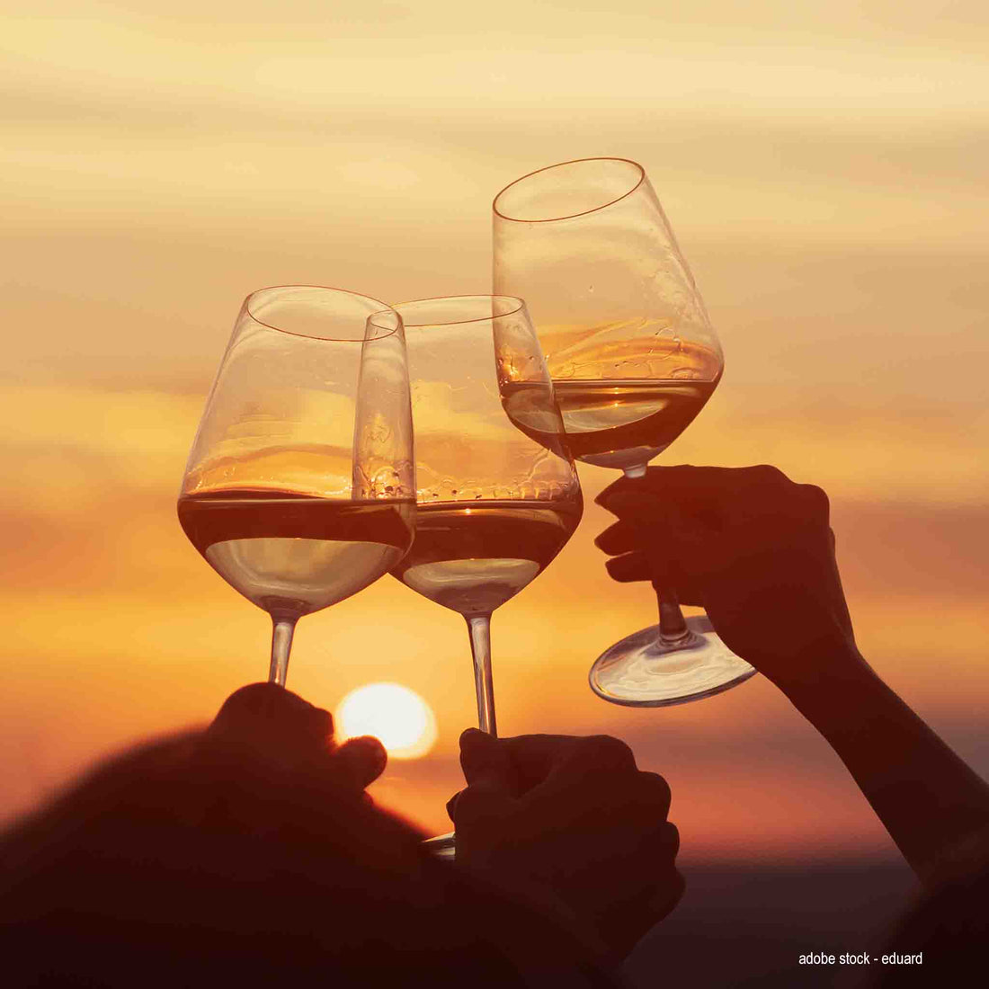 WEINPROBE Sommerweine - VINORI Weinhandlung und Vinothek